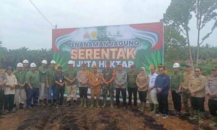 Swasembada Pangan 2025, Penanaman Jagung Serentak di Desa Muara Delang Merangin