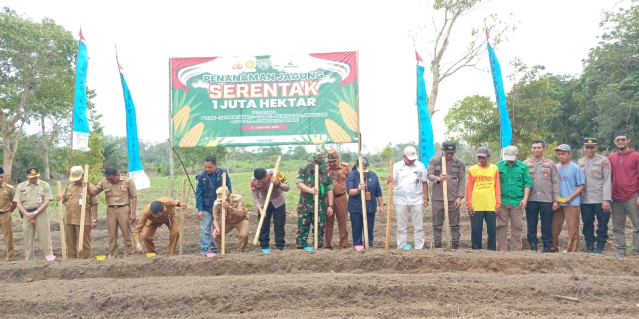 Dandim 0420/Sarko Diwakili Pabung Hadiri Penanaman Jagung Serentak 1 Juta Hektar oleh Polres Sarolangun di Desa Pelawan Jaya