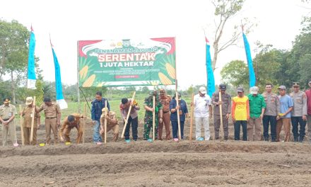Dandim 0420/Sarko Diwakili Pabung Hadiri Penanaman Jagung Serentak 1 Juta Hektar oleh Polres Sarolangun di Desa Pelawan Jaya