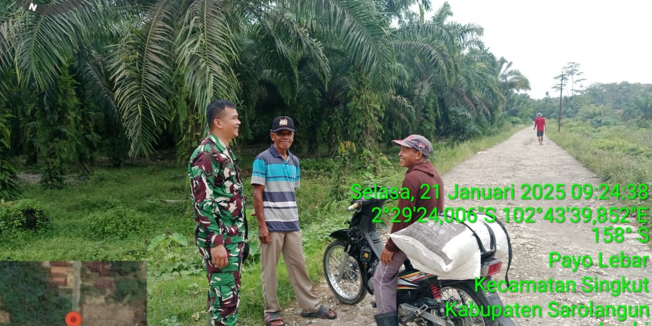 Babinsa Koramil 420-02/Limun Dampingi Petani Desa Payo Lebar Tingkatkan Ketahanan Pangan