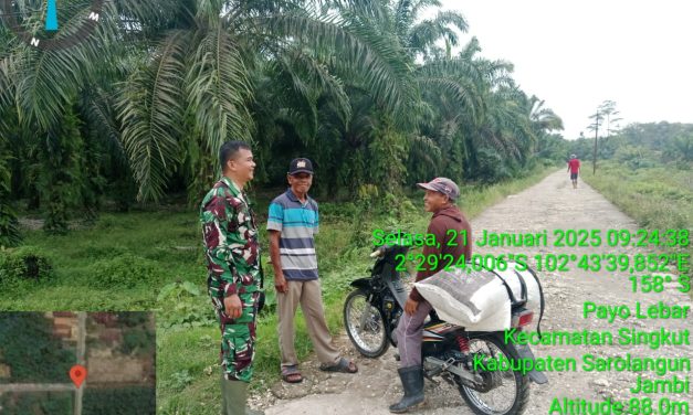 Babinsa Koramil 420-02/Limun Dampingi Petani Desa Payo Lebar Tingkatkan Ketahanan Pangan