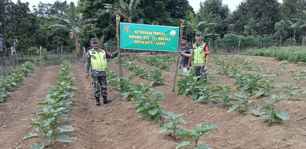 Koramil 420-09/Bangko Kopda Abdullah Laksanakan Pendampingan Petani di Desa Baru Nalo