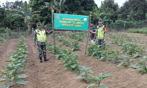 Koramil 420-09/Bangko Kopda Abdullah Laksanakan Pendampingan Petani di Desa Baru Nalo