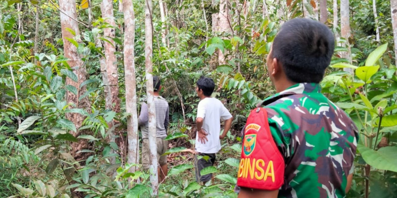 Babinsa Koramil 420-06/Muara Siau Lakukan Monitoring Hutan Desa Air Lago untuk Keberlangsungan Ekosistem