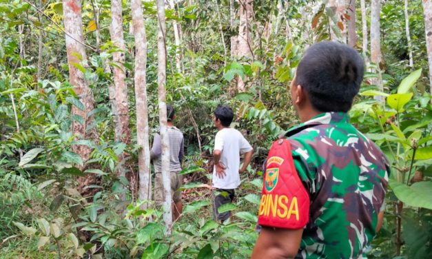 Babinsa Koramil 420-06/Muara Siau Lakukan Monitoring Hutan Desa Air Lago untuk Keberlangsungan Ekosistem