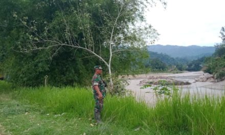 Babinsa Koramil 420-01/Batang Asai Laksanakan Patroli Penanggulangan Bencana Alam di Wilayah Binaan