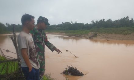 Hujan Deras guyur wilayah Sarolangun, Babinsa Koramil 420-04 Patroli Sungai Tembesi untuk Antisipasi Banjir