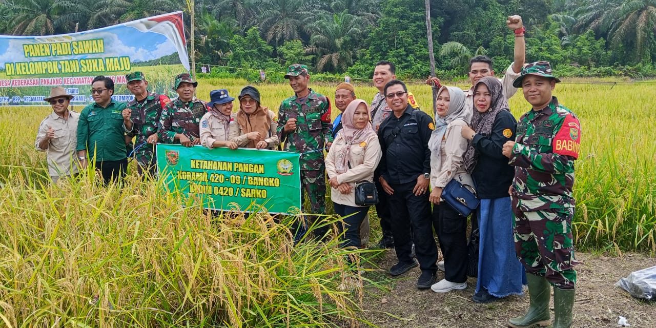 Kolaborasi Antara Instansi Terkait dan Masyarakat Desa Kederasan Panjang Wujudkan Swasembada Pangan, Serda Emil Purwanto Hadirkan Dampak Positif