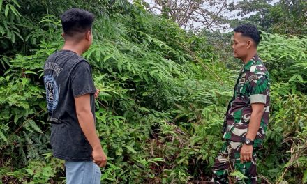 Pemantauan Wilayah Hutan Desa Lubuk Birah: Babinsa Serda Habibul Muin Pastikan Keamanan dan Kelestarian Alam