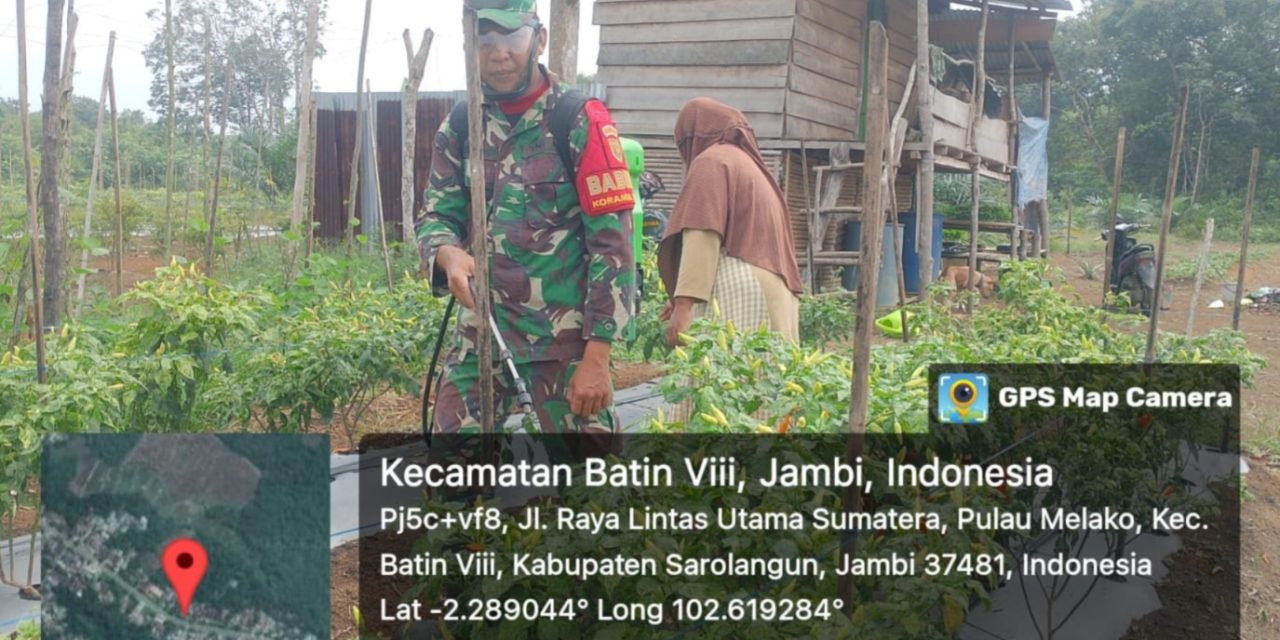 Laksanakan Pendampingan di Lahan Produktif Tanaman Cabai di Desa Pulau Moelako