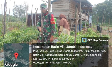 Laksanakan Pendampingan di Lahan Produktif Tanaman Cabai di Desa Pulau Moelako