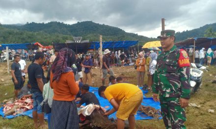 Acara Mantai Megang Adat, Babinsa Koramil 420-07/Sei Manau Laksanakan Patroli dan Pengamanan