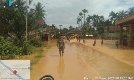 Babinsa Dampingi Petani Guna Menunjang Kegiatan Hanpangan Di Wilayah Binaan