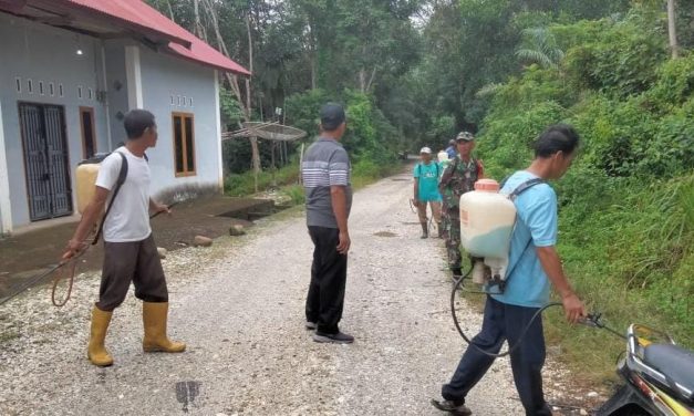 Peduli Lingkungan Bersih, Babinsa Gotong Royong Bersihkan Ruas Jalan