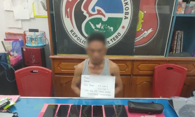 Satresnarkoba Polres Tebo Tangkap Bandar Sabu di Tengah Ilir, 33 Paket Sabu Diamankan