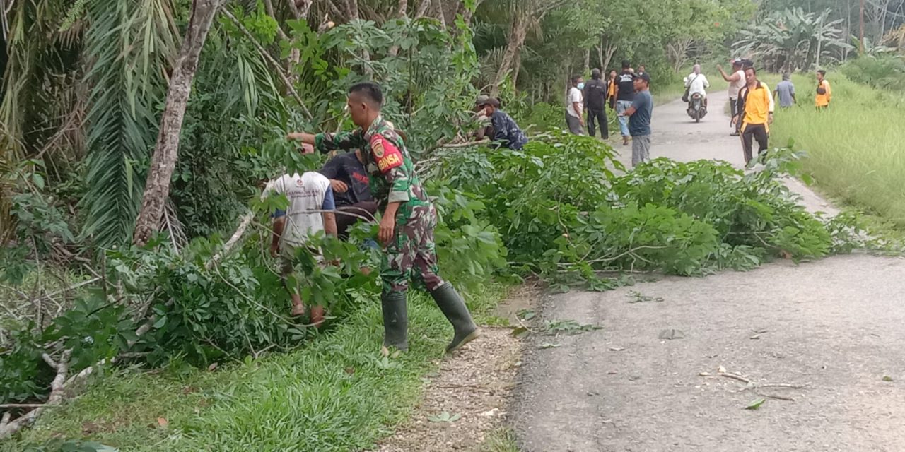 Babinsa Koramil 02/Ma limun danMasyarakat Gotong Royong Bersihkan Bahu Jalan