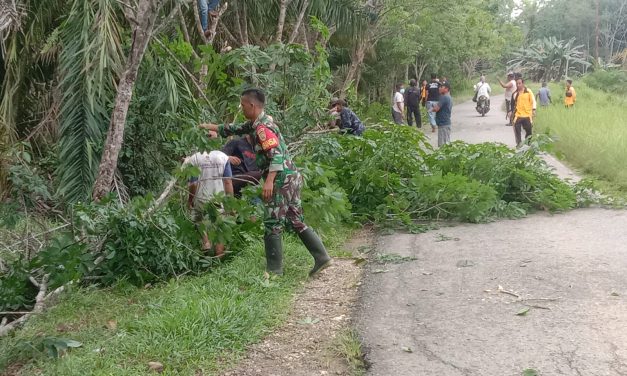 Babinsa Koramil 02/Ma limun danMasyarakat Gotong Royong Bersihkan Bahu Jalan