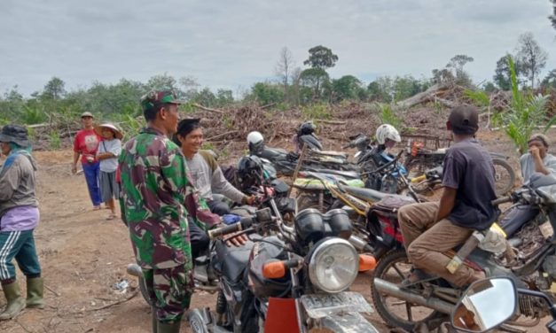 Babinsa Perkuat Sinergi dengan Petani, Kawal Ketahanan Pangan di Sarolangun