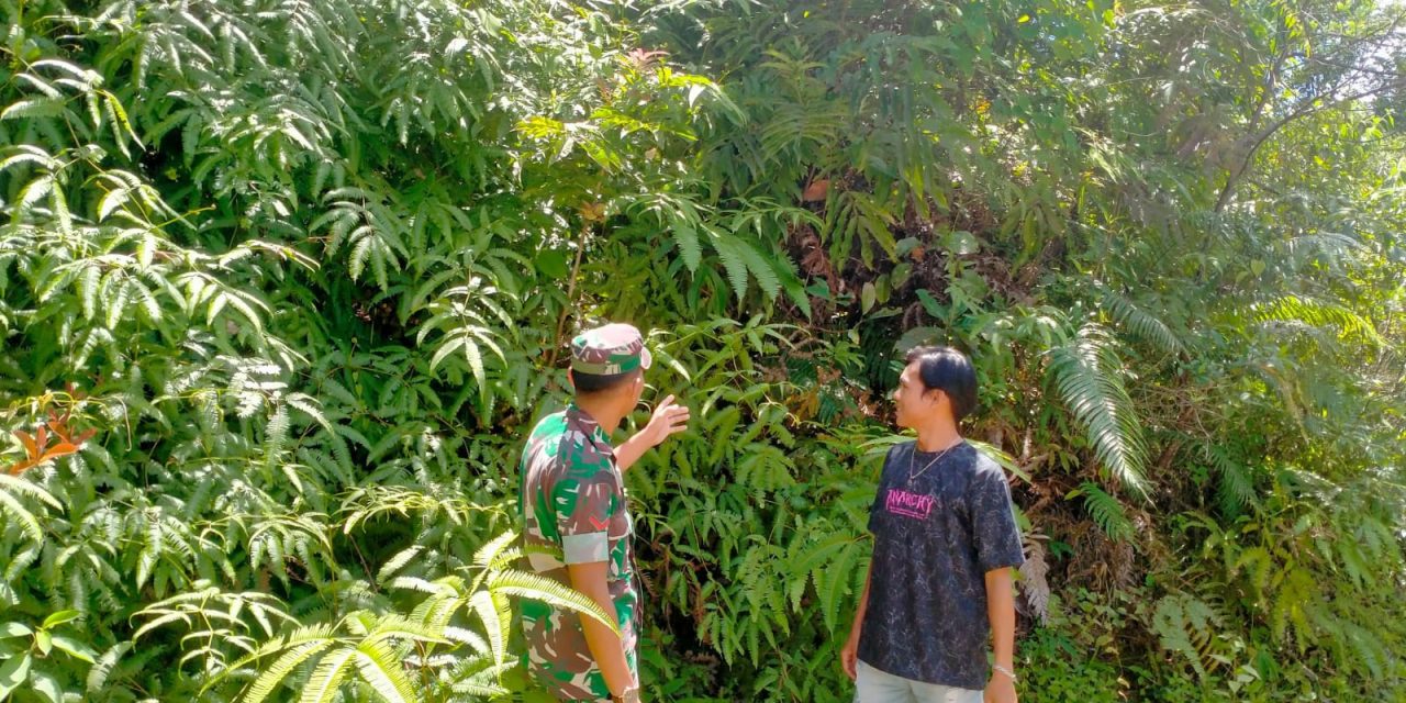 TNI Peduli Bencana, Kopda Ade Irwandi Pengecekan Daerah Rawan Longsor di Desa Durian Rambun