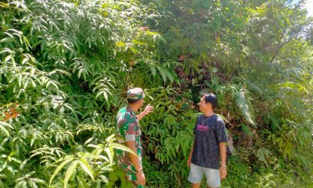 TNI Peduli Bencana, Kopda Ade Irwandi Pengecekan Daerah Rawan Longsor di Desa Durian Rambun