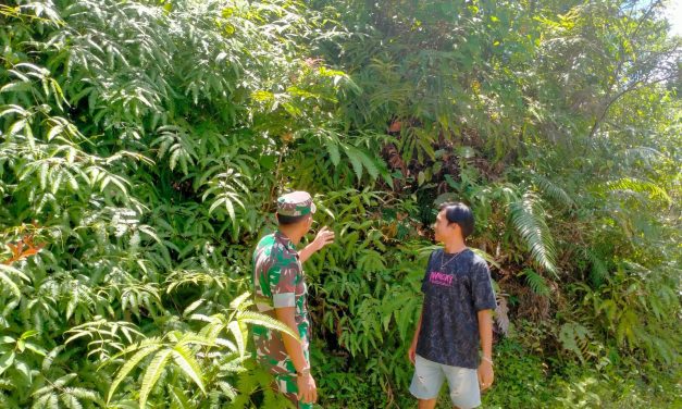 TNI Peduli Bencana, Kopda Ade Irwandi Pengecekan Daerah Rawan Longsor di Desa Durian Rambun