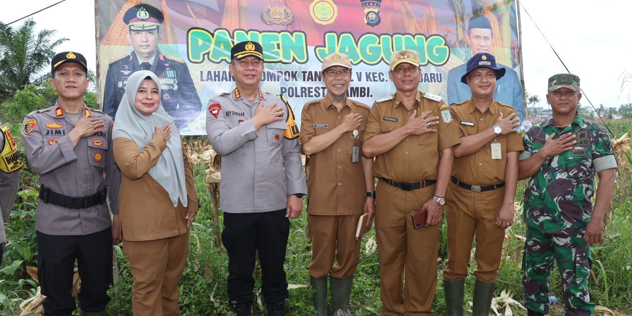 Dukung Ketahanan Pangan, Kapolresta Jambi Gelar Panen Jagung Perdana