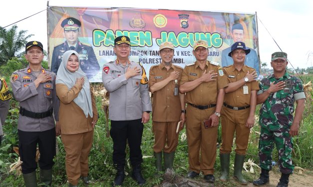 Dukung Ketahanan Pangan, Kapolresta Jambi Gelar Panen Jagung Perdana