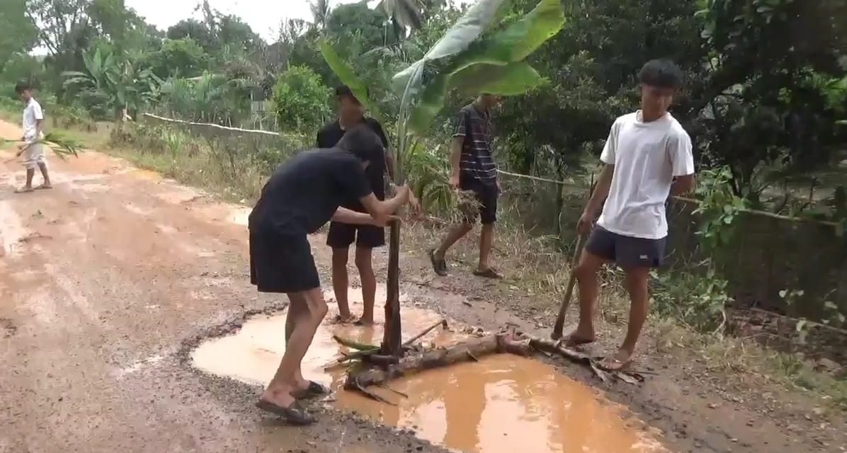 Protes Jalan Rusak, Pemuda di Muaro Jambi Tanam Pohon dan Pancing Belut di Tengah Jalan