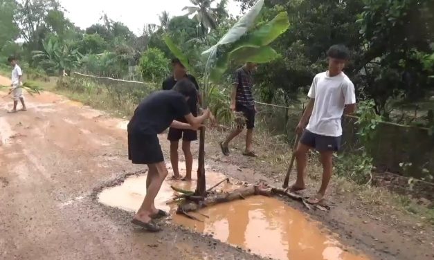 Protes Jalan Rusak, Pemuda di Muaro Jambi Tanam Pohon dan Pancing Belut di Tengah Jalan