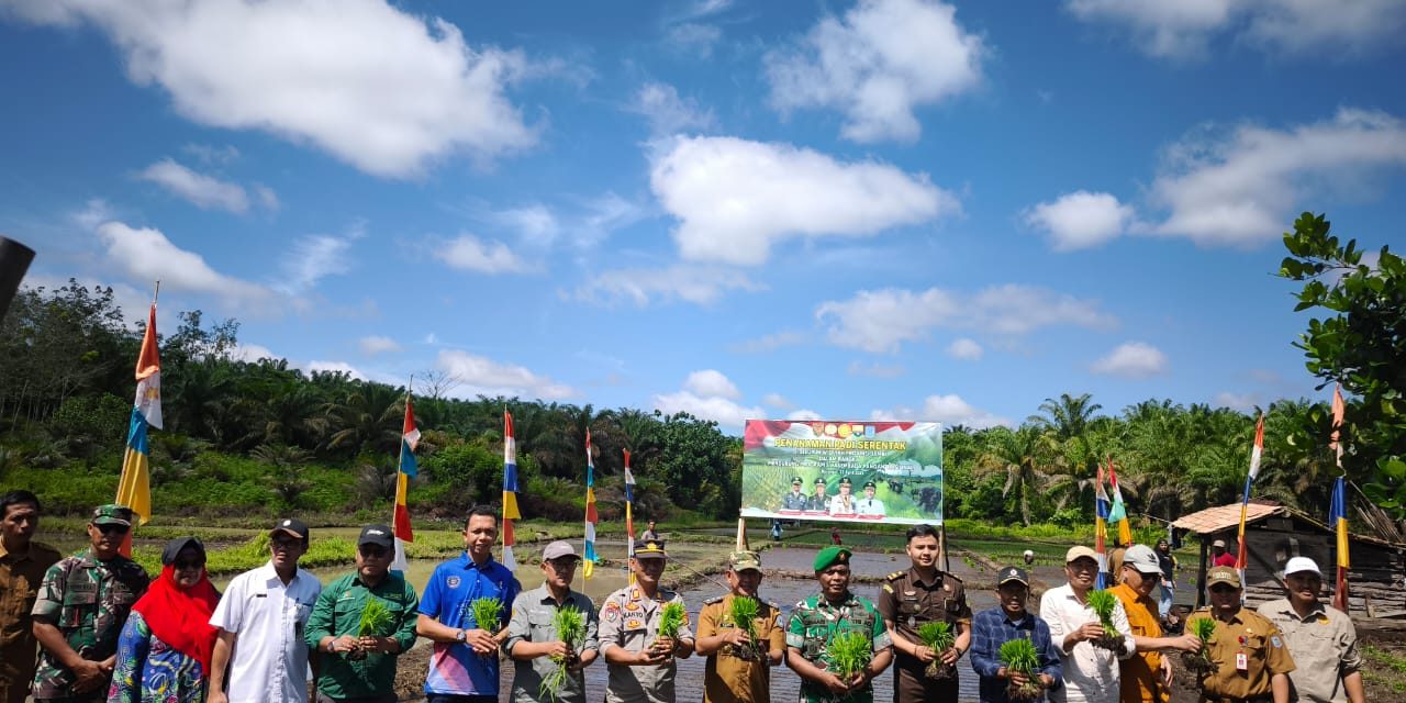 Kasdim 0420/Sarko Mewakili Dandim Bersama Pemkab Merangin Hadir Dalam Zoom Meeting dan Tanam Padi Serentak di Desa Tambang Emas
