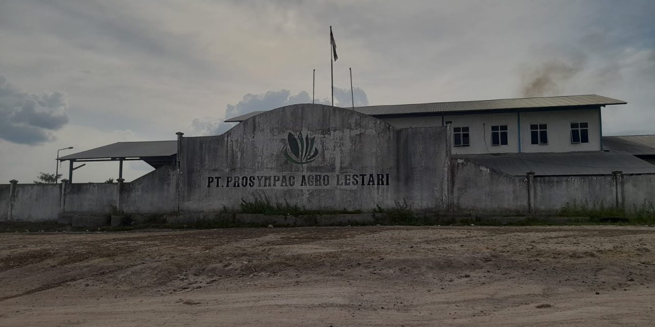 Babak Baru Polemik Pengelolaan PKS PT Prosympac Agro Lestari: PPJB “Misterius” dan Dugaan Jaminan Kasus Hukum