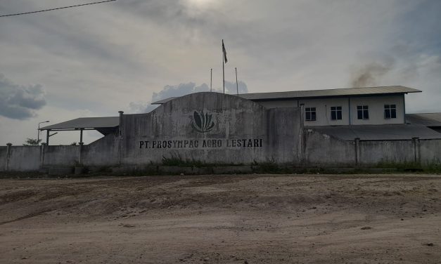 Babak Baru Polemik Pengelolaan PKS PT Prosympac Agro Lestari: PPJB “Misterius” dan Dugaan Jaminan Kasus Hukum