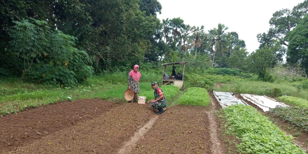 Babinsa Sukasari Bantu Petani penanaman bibit