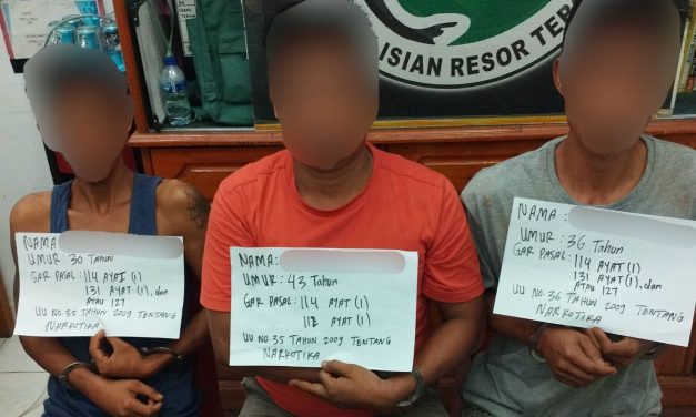 Satresnarkoba Polres Tebo Tangkap Tiga Pengedar Narkoba di Kebun Sawit, 21 Paket Sabu Diamankan