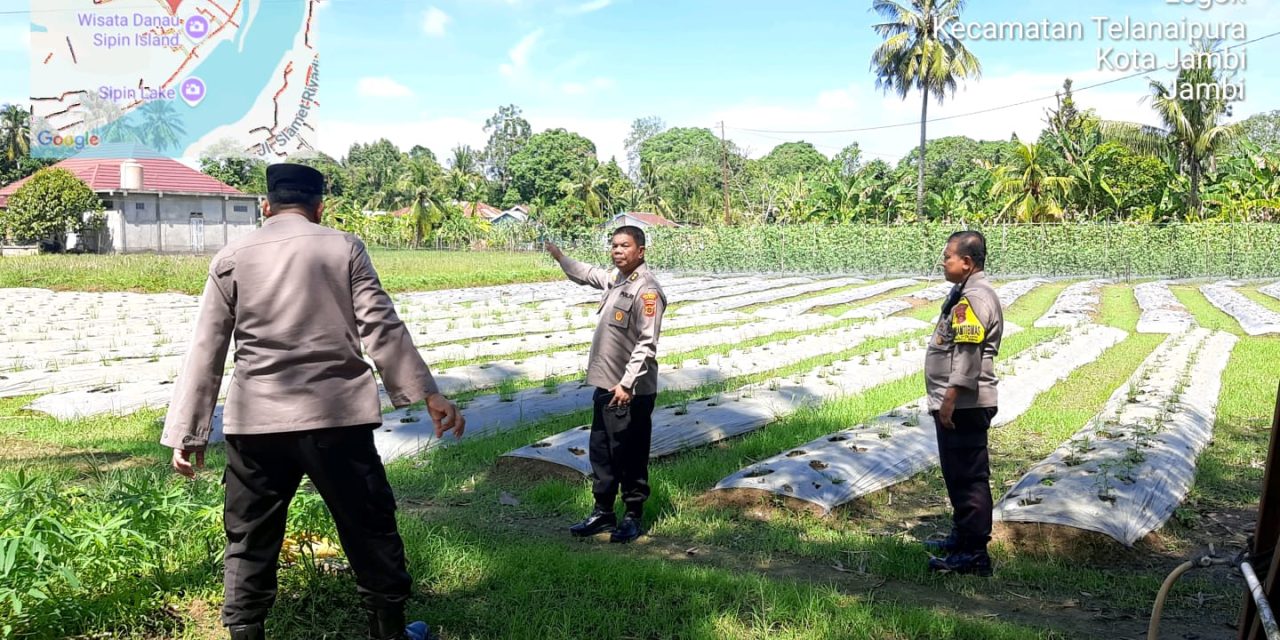 Dukung Ketahanan Pangan Polresta Jambi Siapkan Dua Lokasi Pekarangan Pangan Bergizi