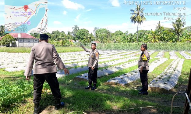 Dukung Ketahanan Pangan Polresta Jambi Siapkan Dua Lokasi Pekarangan Pangan Bergizi