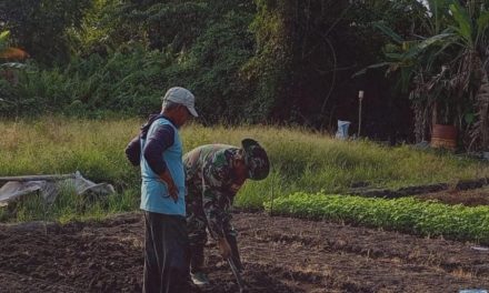 Ucapan Terima Kasih Petani untuk Babinsa, Bukti Kehadiran TNI Dalam Pendampingan Ketahanan Pangan