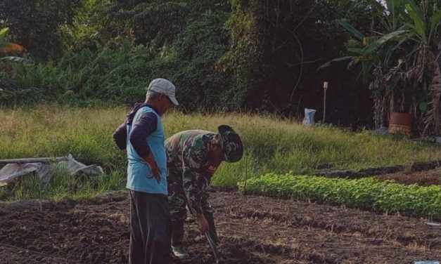 Ucapan Terima Kasih Petani untuk Babinsa, Bukti Kehadiran TNI Dalam Pendampingan Ketahanan Pangan