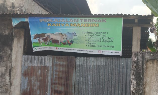 Diduga Langgar Aturan, Kandang Sapi dan Kambing Karya Mandiri Berdiri di Atas Drainase Milik Pemerintah