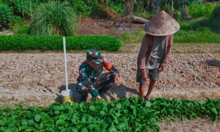 Petani Lebih Maju dan Sukses Dalam Bertani
