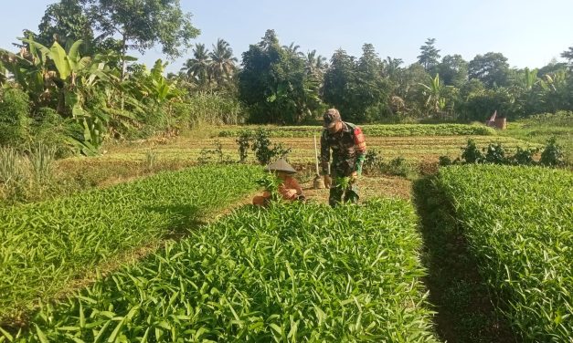 Dorong Semangat Petani Dalam Bertani dan menjaga Ketahanan Pangan Wilayah