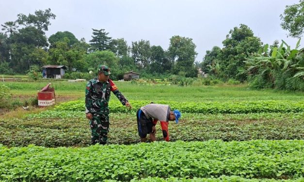Dampingi Petani, Wujud Nyata Dukung Ketahanan Pangan Nasional