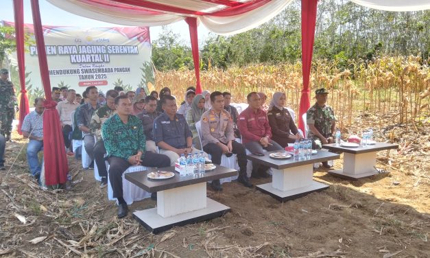 Panen Raya Jagung Serentak di Desa Langling Dukung Asta Cita Presiden RI