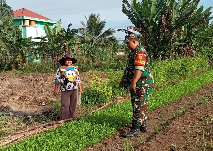 Babinsa Bantu Petani Merawat Tanaman Kankung di Desa Binaan