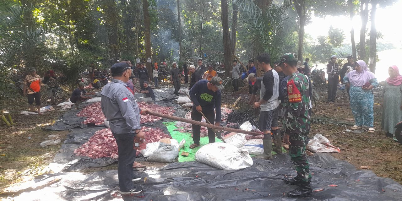 Babinsa Pantau Penyembelihan Hewan Kurban Di Desa Binaan.