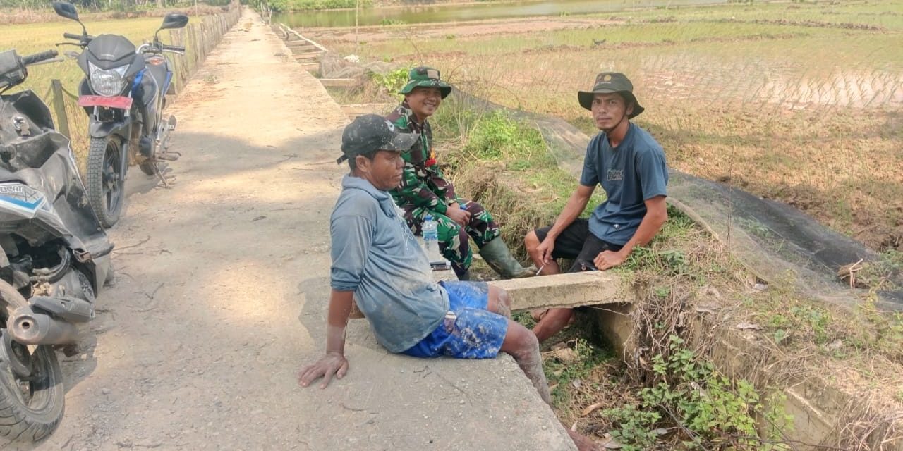 Melalui Komsos Babinsa Berikan Motivasi Kepada Petani Padi di Wilayah Binaan
