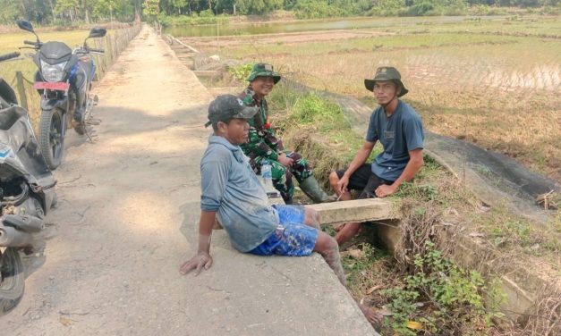 Melalui Komsos Babinsa Berikan Motivasi Kepada Petani Padi di Wilayah Binaan