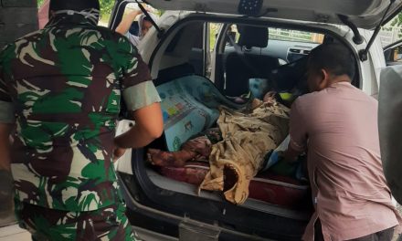 Serangan Harimau Sumatra, Babinsa Bersama Tim Kesehatan Sigap Evakuasi Korban