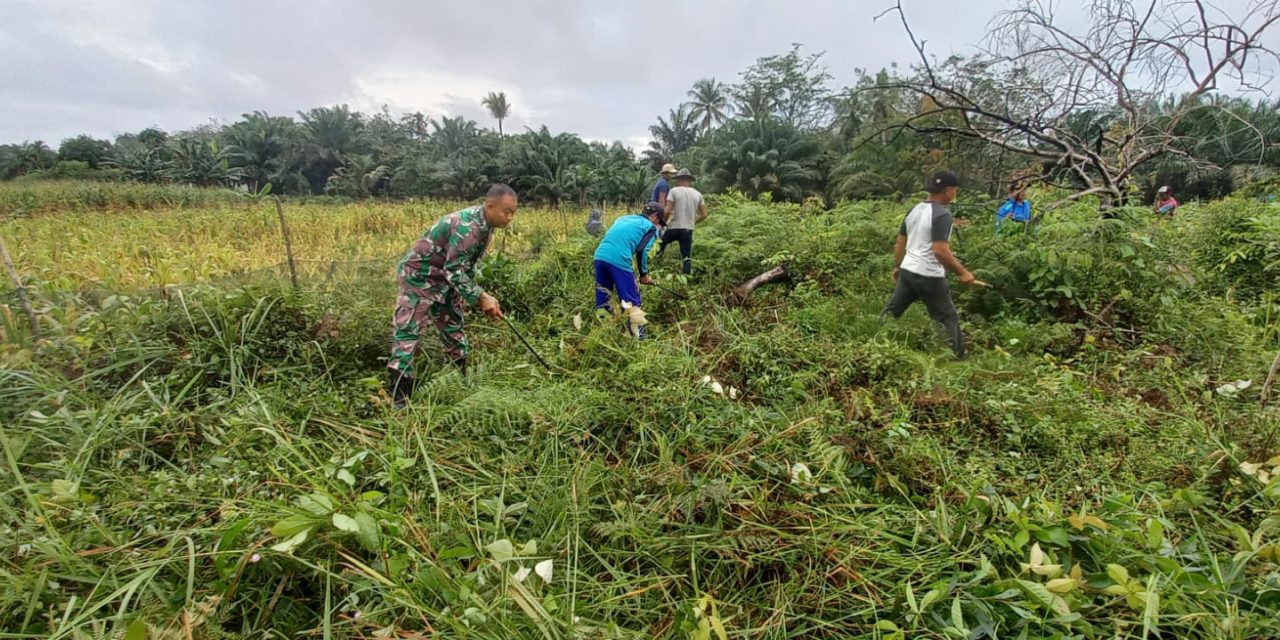 Gotong Royong untuk Kebersihan Desa Tambang Tinggi