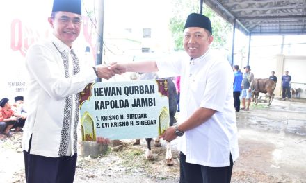 Kapolda Jambi Pimpin Penyerahan Hewan Qurban, Ribuan Daging Disalurkan ke Warga